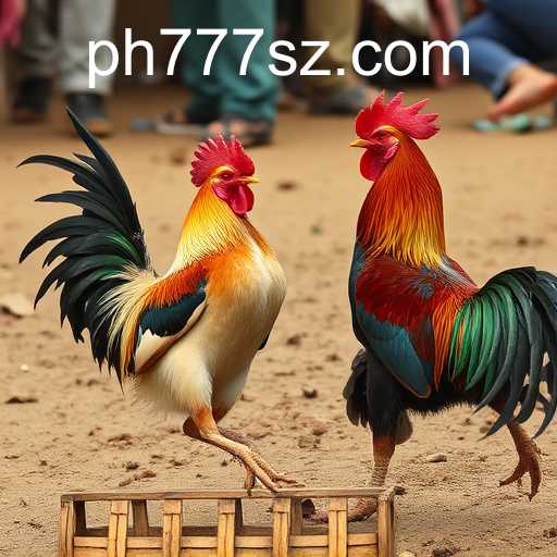 Understanding Sabong Games